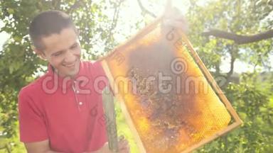 养蜂人用特殊的电刀从蜂巢架上切蜡